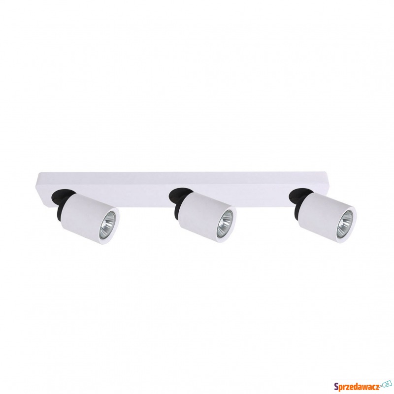 Spot LUCIEN FH31313A11