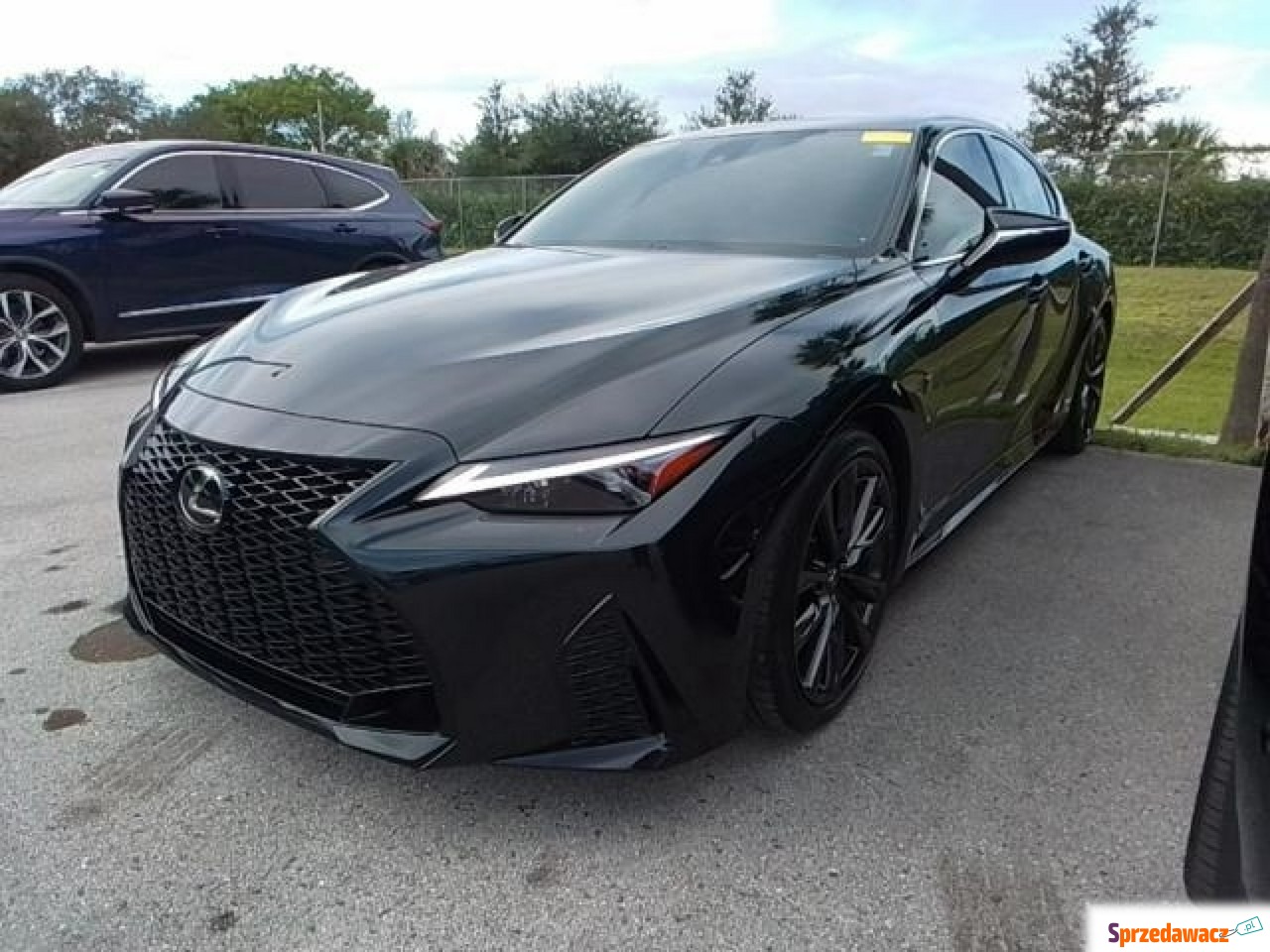 Lexus IS 2023