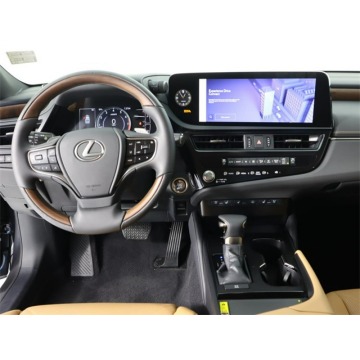 Lexus ES  Sedan/Limuzyna 2024,  3.5 hybryda, automat - Na sprzedaż za 189 420 zł - Katowice - zdjęcie 8