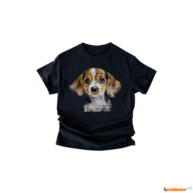 czarna koszulka z beaglem - Bluzki, koszule - Zielona Góra