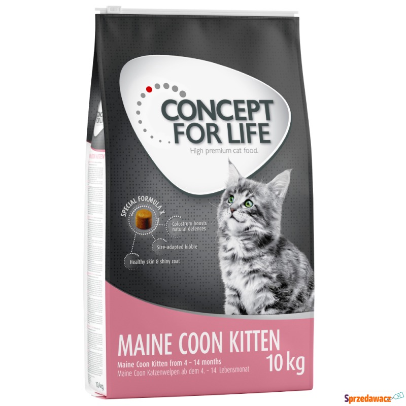 Concept for Life Maine Coon Kitten - Ulepszona... - Karmy dla kotów - Bytom