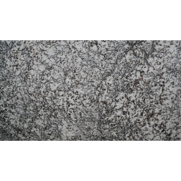 Płytki granitowe MIST WHITE 45x45x2 poler