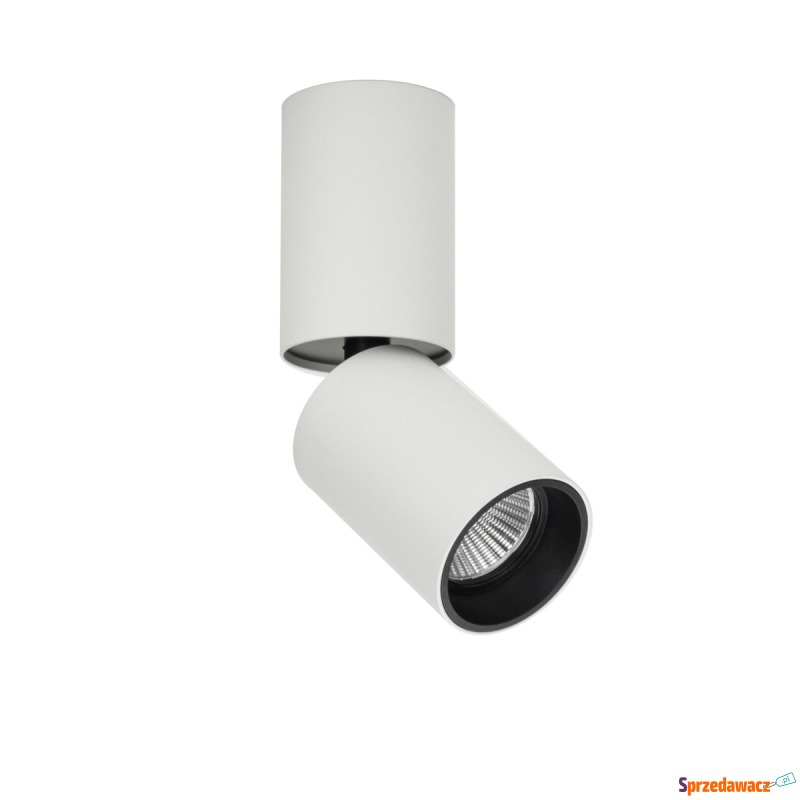 Spot natynkowy Camali CLN-8801...