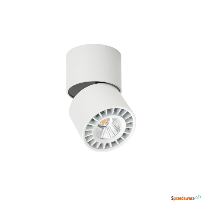 Spot natynkowy Herios CLN-9701...