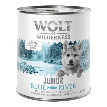 Korzystny pakiet Little Wolf of Wilderness Junior, 12 x 800 g - Blue River Little, kurczak i łosoś