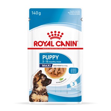 Royal Canin Maxi Puppy, w sosie - 40 x 140 g