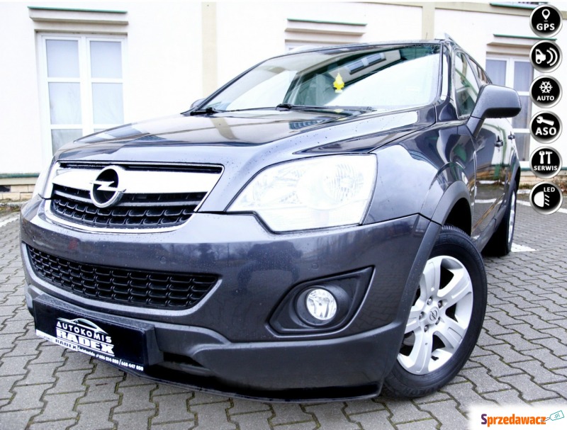 Opel Antara  SUV 2013,  2.3 diesel - Na sprzedaż za 32 900 zł - Świebodzin