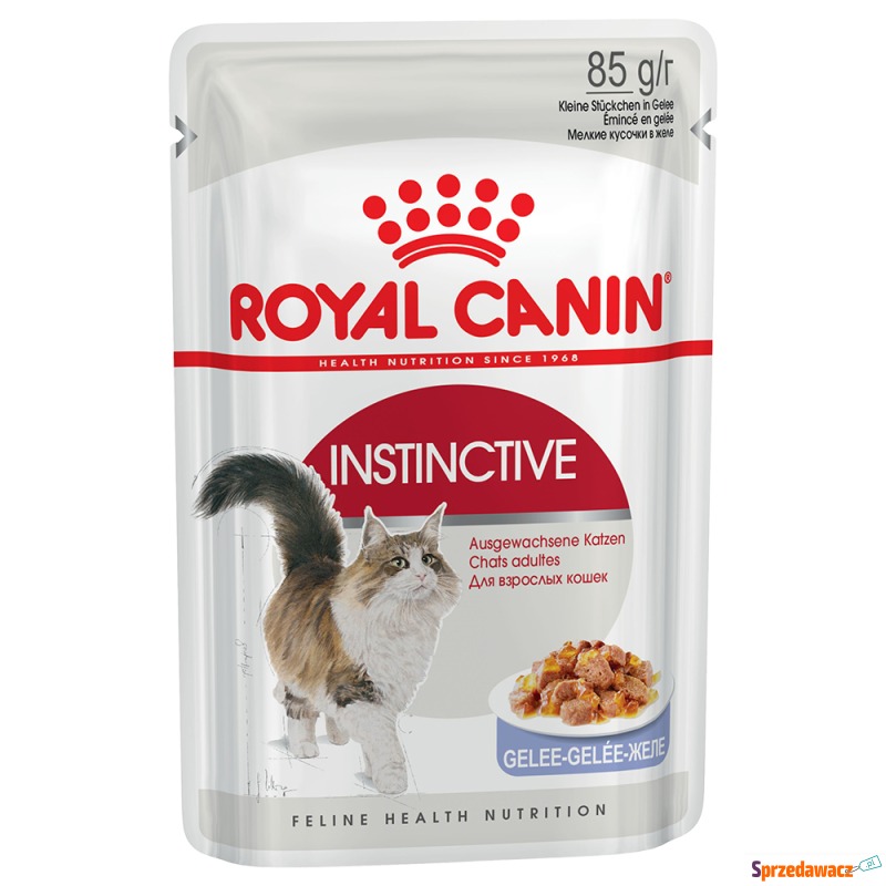 Uzupełnienie: Mokra karma Royal Canin - Insti... - Karmy dla kotów - Legnica
