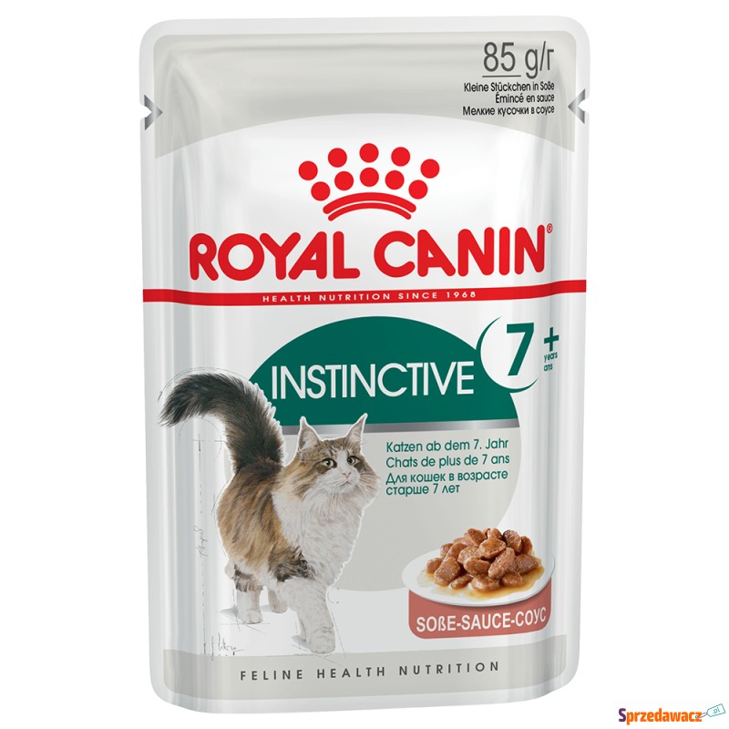 Uzupełnienie: Mokra karma Royal Canin - Insti... - Karmy dla kotów - Suwałki