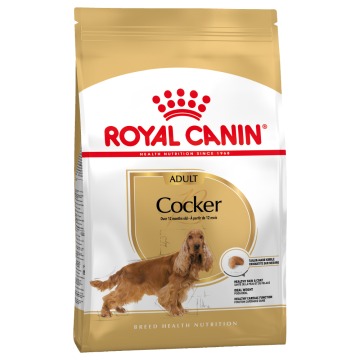 Royal Canin Cocker Adult - 2 x 12 kg