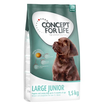 15% taniej! Concept for Life, 1 kg / 1,5 kg - Large Junior, 1,5 kg