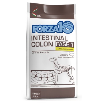 Forza 10 Intestinal Colon, Phase 1, jagnięcina - 2 x 10 kg