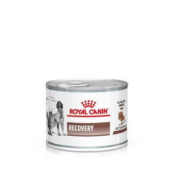 Royal Canin Veterinary Feline Recovery Ultra Soft Mousse - 12 x 195 g