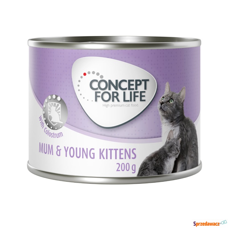 Concept for Life Mum & Young Kittens w musie -... - Karmy dla kotów - Starogard Gdański