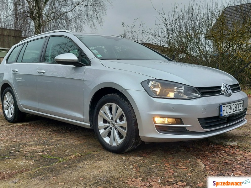 Volkswagen Golf 2014,  1.6 diesel - Na sprzedaż za 36 900 zł - Oborniki