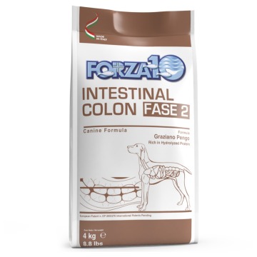 Forza 10 Active Line Intestinal Colon Phase 2 - Opakowanie ekonomiczne: 2 x 4 kg