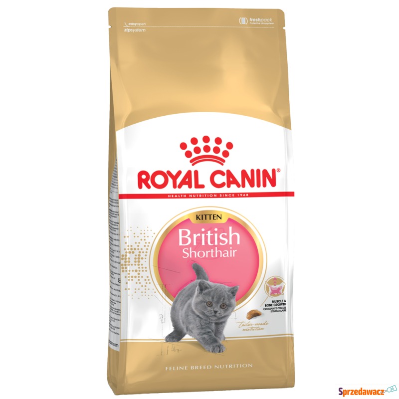 Royal Canin British Shorthair Kitten - 2 kg - Karmy dla kotów - Jelenia Góra