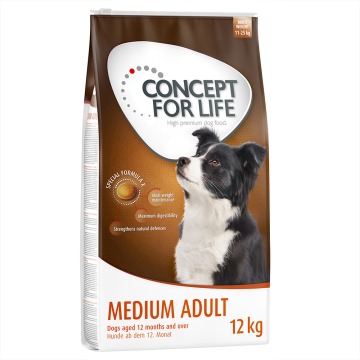 21 + 3 kg gratis! Concept for Life, 2 x 12 kg - Medium Adult