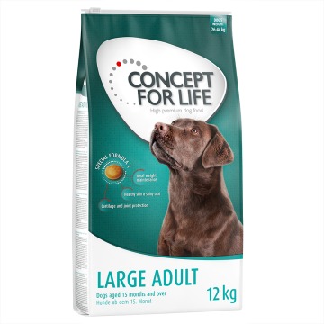21 + 3 kg gratis! Concept for Life, 2 x 12 kg - Large Adult