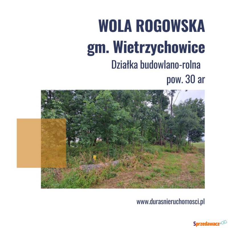 Działka rolna Wola Rogowska sprzedam, pow. 3000 m2  (30a), uzbrojona