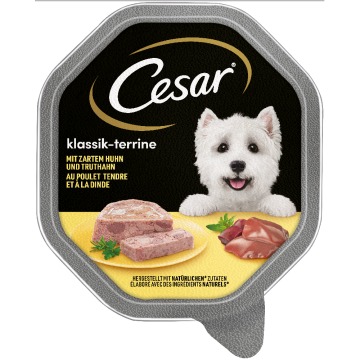20% taniej! Cesar, karma mokra dla psa, różne rodzaje - Classic, delikatny kurczak z indykiem, 14 x 