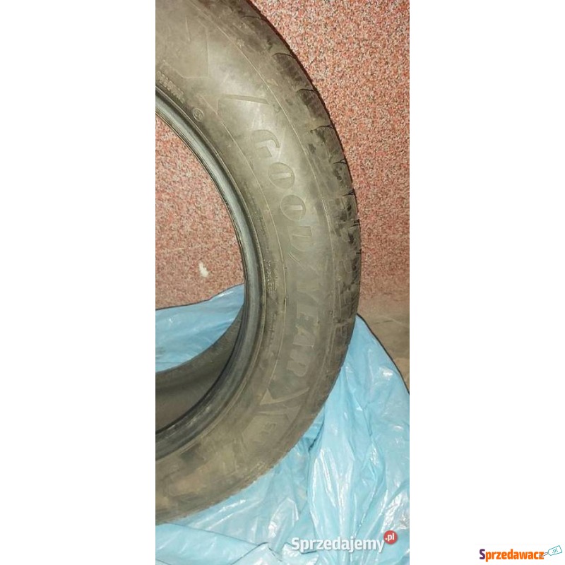 Opona zimowa 255x55x19 111V Go...