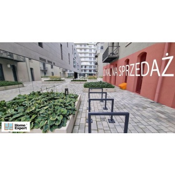 Lokal (248 m2) okolice Zyndrama z Maszkowic (Wrocław)