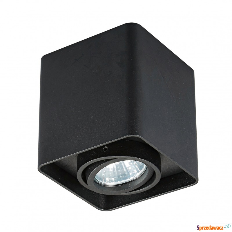 Spot QUADRY SL 1 20039-BK