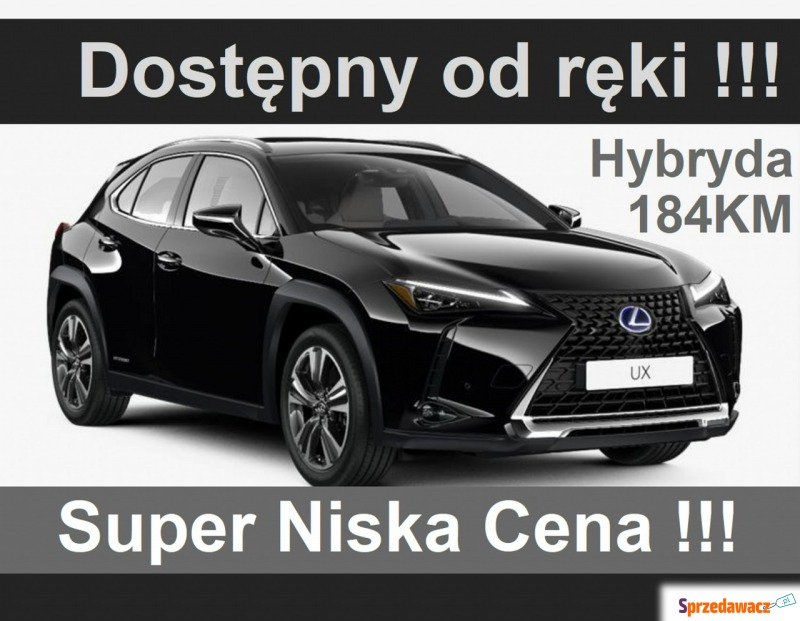 Lexus UX - Hybryda 250h 184KM Business Pakiet... - Samochody osobowe - Szczecinek