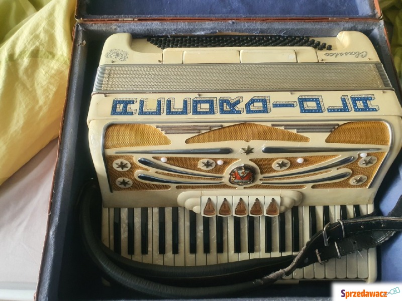 Akordeon włoski accordiola 120b. misset cztery... - Instrumenty - Bydgoszcz