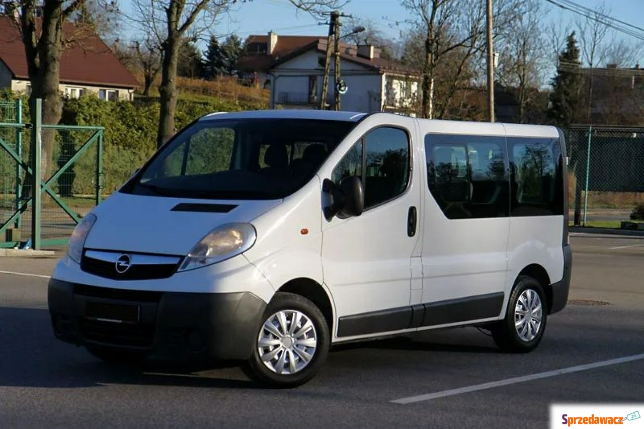 Opel Vivaro 2013