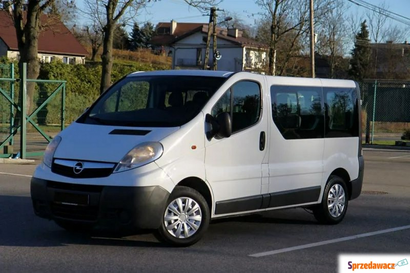 Opel Vivaro  Minivan/Van 2013,  2.0 diesel - Na sprzedaż za 37 900 zł - Dojazdów