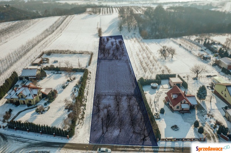 Działka Sandomierz sprzedam, pow. 39 000 m2  (3.9ha), uzbrojona