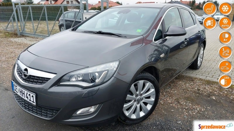 Opel Astra  Hatchback 2010,  1.4 benzyna - Na sprzedaż za 29 999 zł - Gniezno