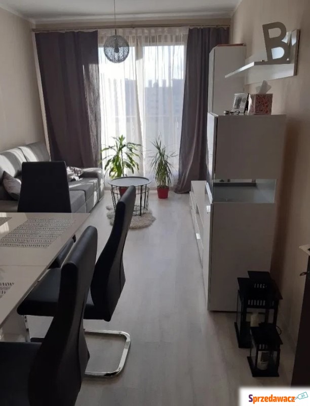 2pok, 56met, Okolice Przyjaźni...