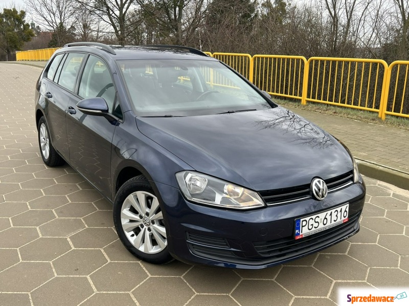 Volkswagen Golf 2016,  1.6 diesel - Na sprzedaż za 41 999 zł - Gostyń
