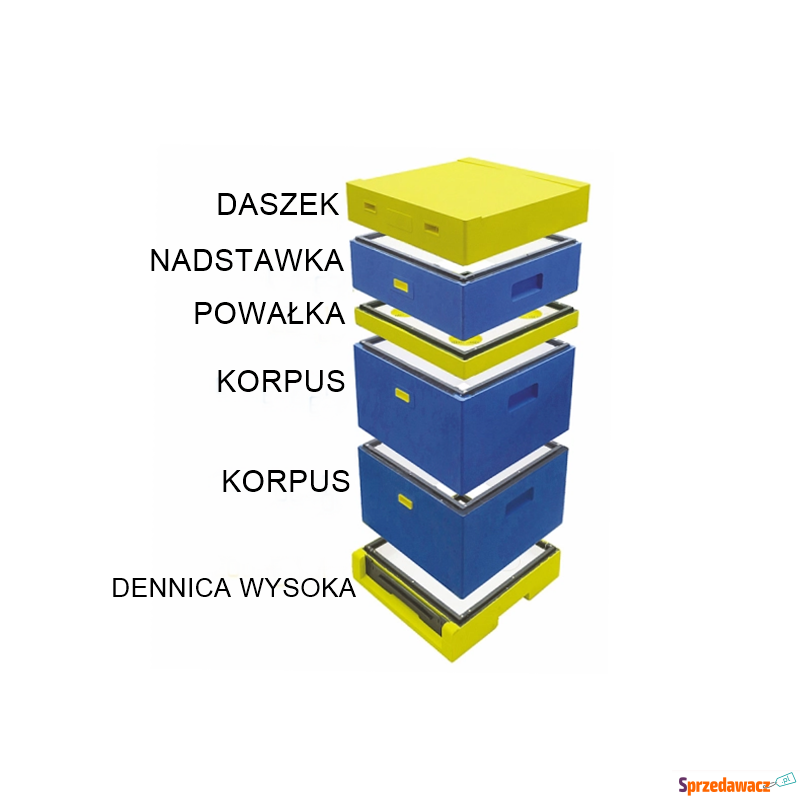 Ul Wielkopolski 10 ramkowy malowany...