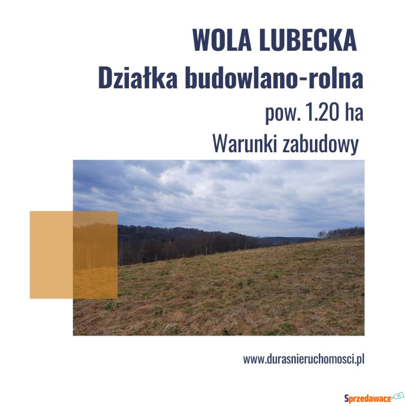Działka rolno-budowlana Wola Lubecka sprzedam, pow. 12 000 m2  (1.2ha), uzbrojona