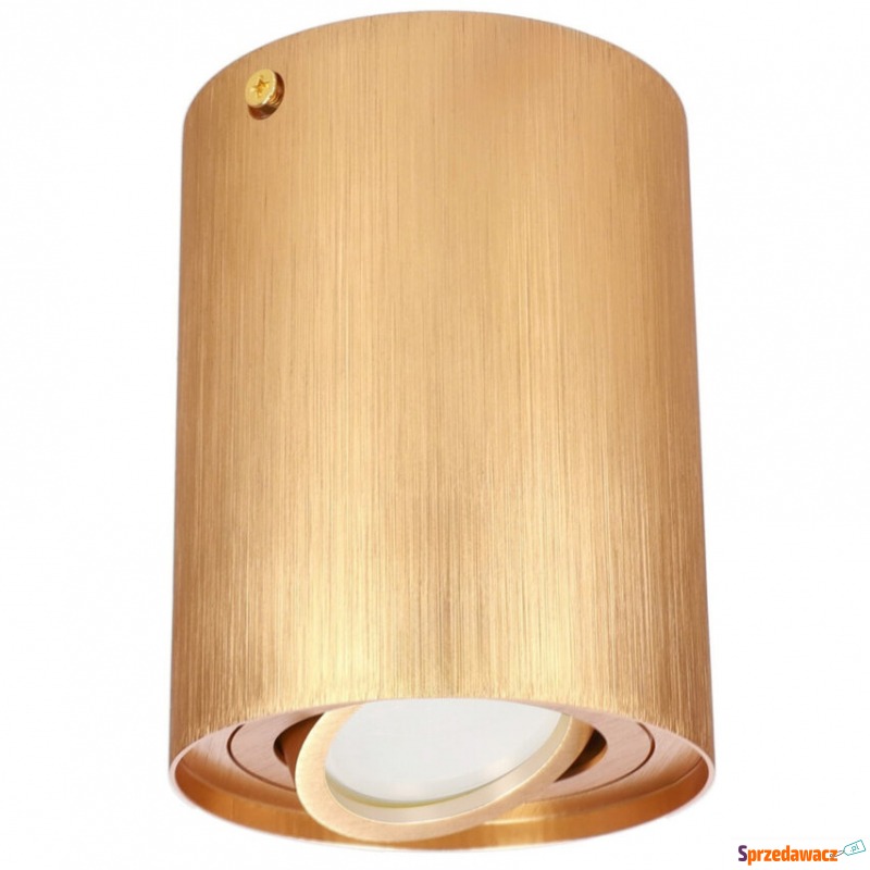 Spot SKAND 1 Gold EDO777225