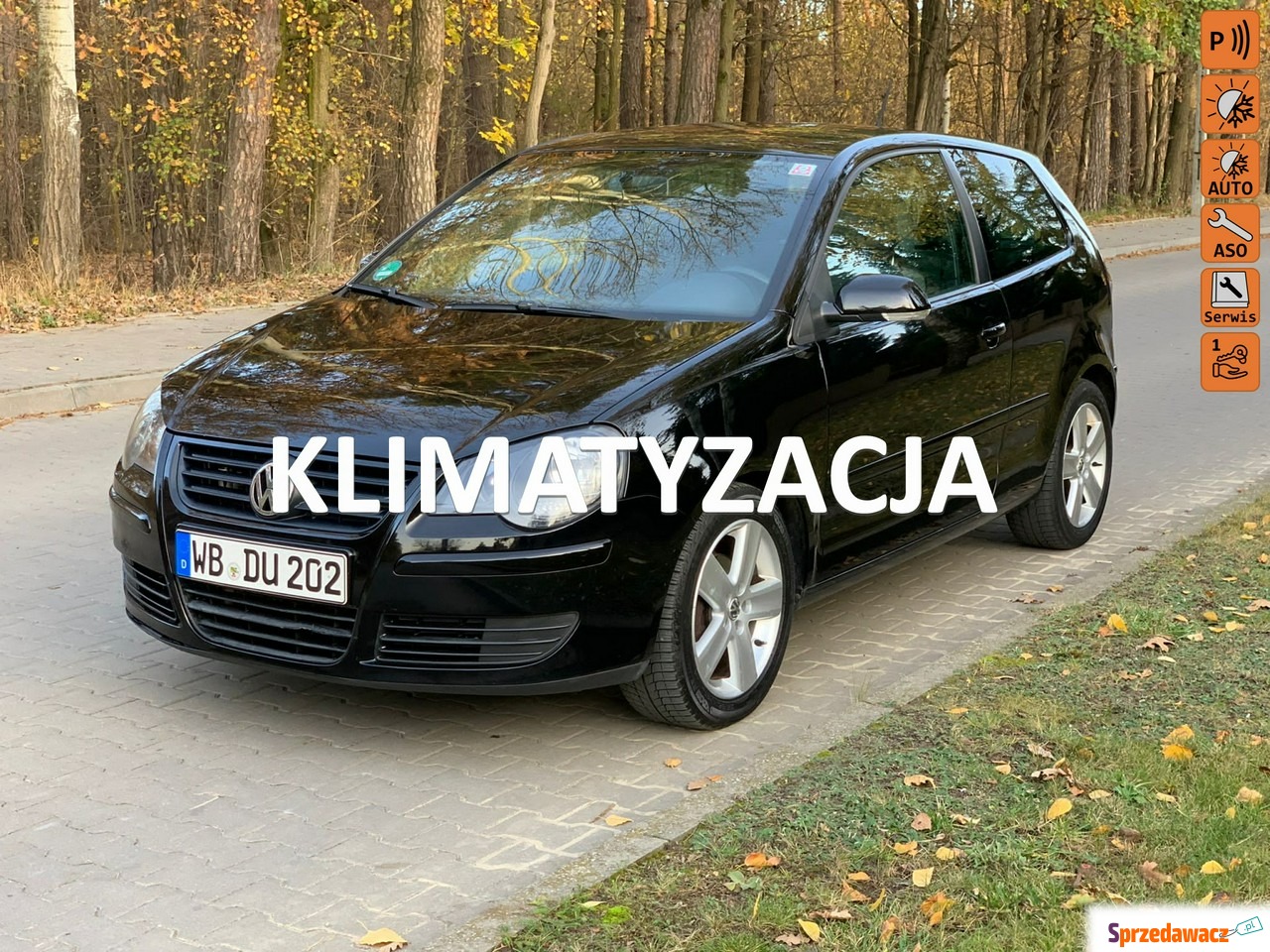 Volkswagen Polo 2009