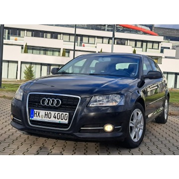 Audi A3 - * 2.0 COMMON RAiL* BDB STAN* KLiMAtronik* halogeny**podgrzew. fotele*