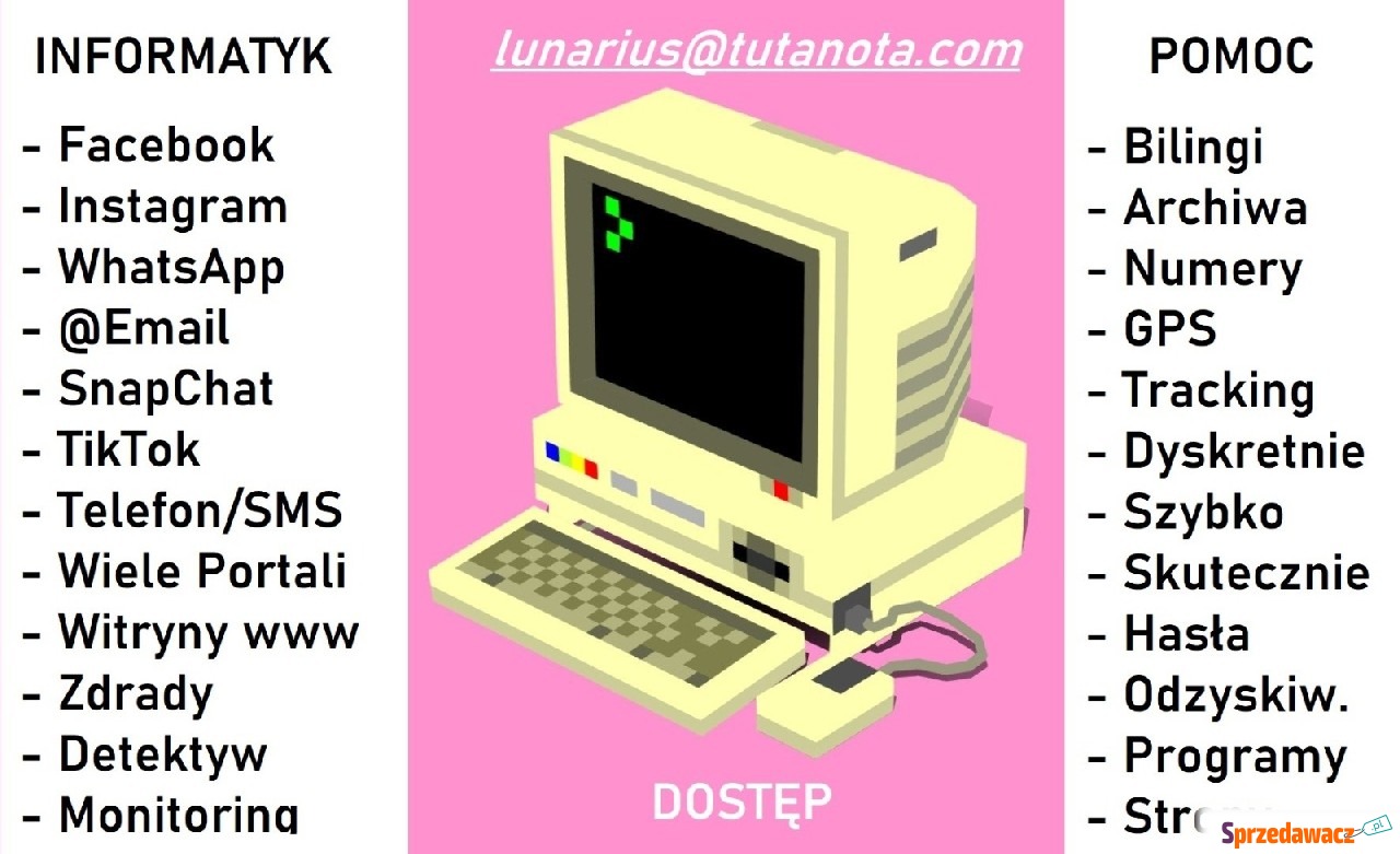 Profesjonalne Usługi Informatyczno...