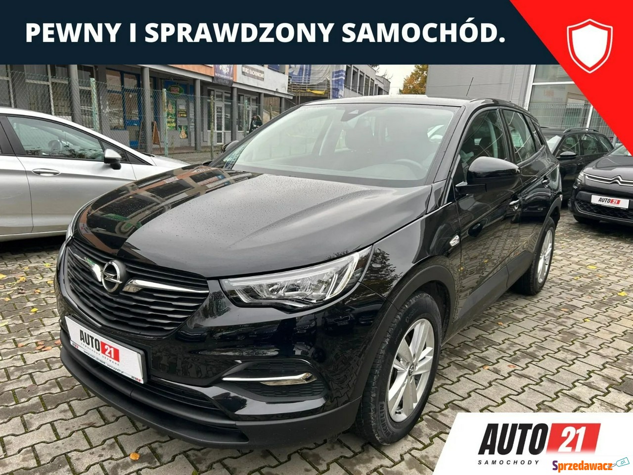 Opel Grandland X 2020