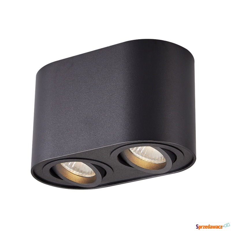 Spot RONDOC SL2 ACGU10-191-N