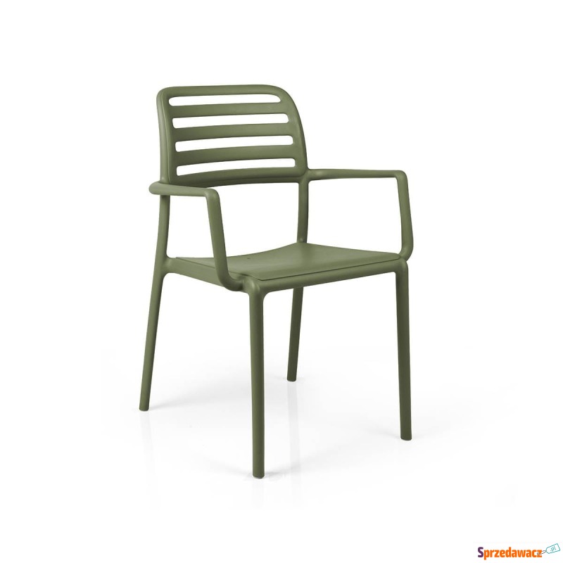 Krzesło Costa Arm Nardi - Agave - Krzesła kuchenne - Siedlce