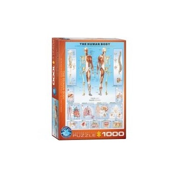  Puzzle 1000 el. The Human Body 6000-1000 Eurographics
