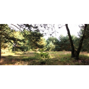 Działka rolna Szczecin - Warszewo sprzedam, pow. 1960 m2  (19.6a) - zdjęcie 5
