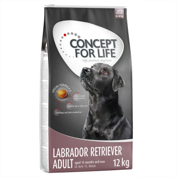 21 + 3 kg gratis! Concept for Life, 2 x 12 kg - Labrador Retriever Adult