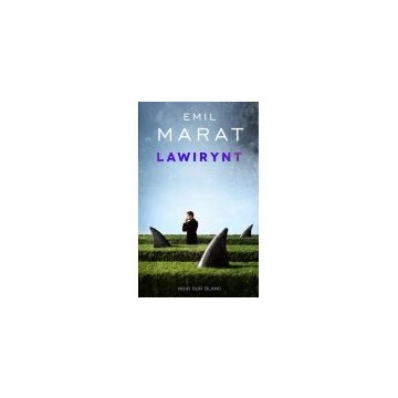 Lawirynt (nowa) - książka, sprzedam