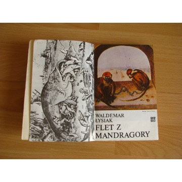 Flet z mandragory - Waldemar Łysiak - Książki - Brzegi - zdjęcie 5